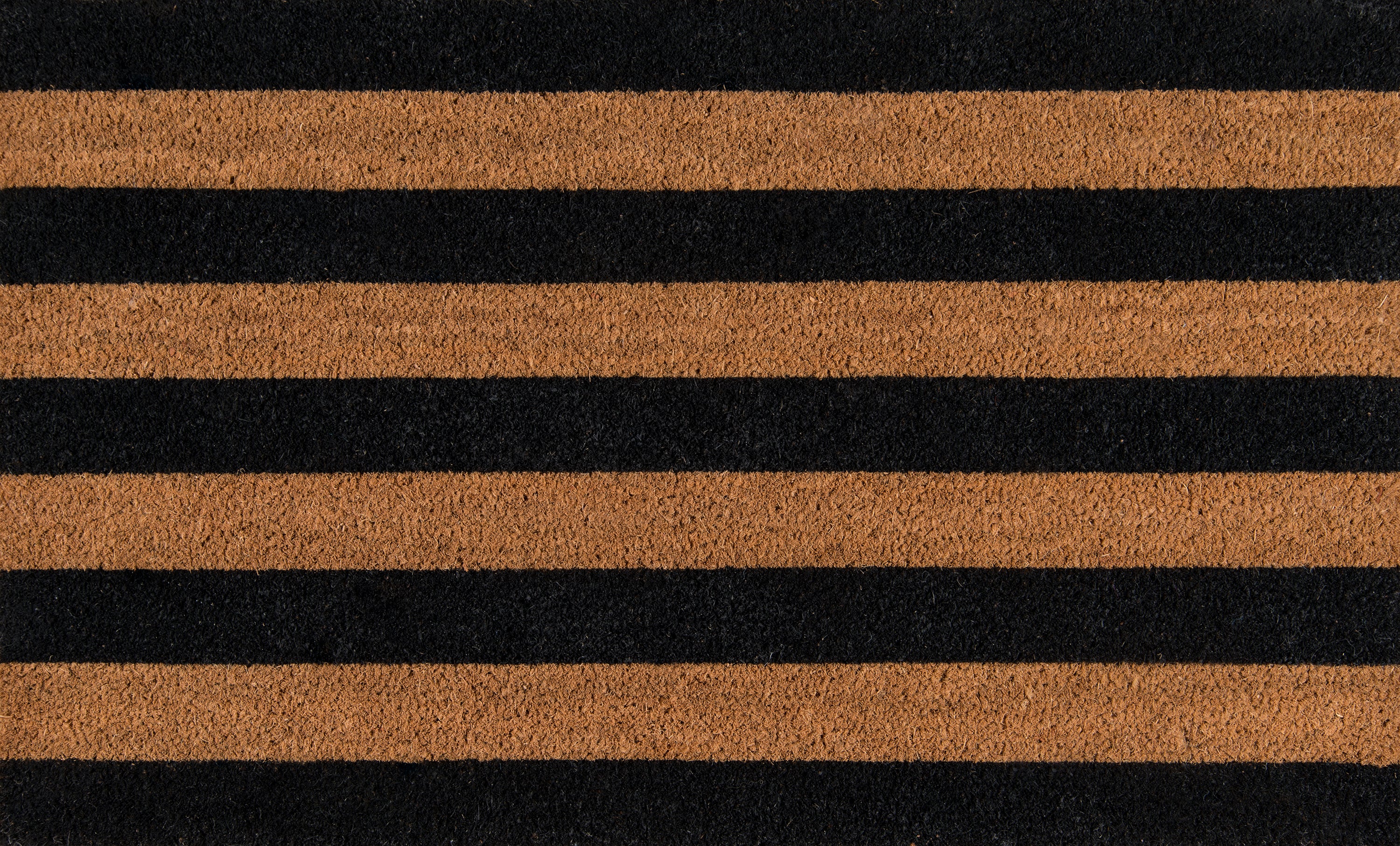 Park PAR-2 Stripe Black