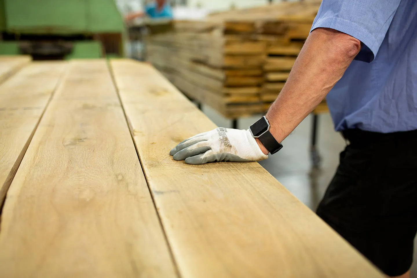 from the forest sustainability