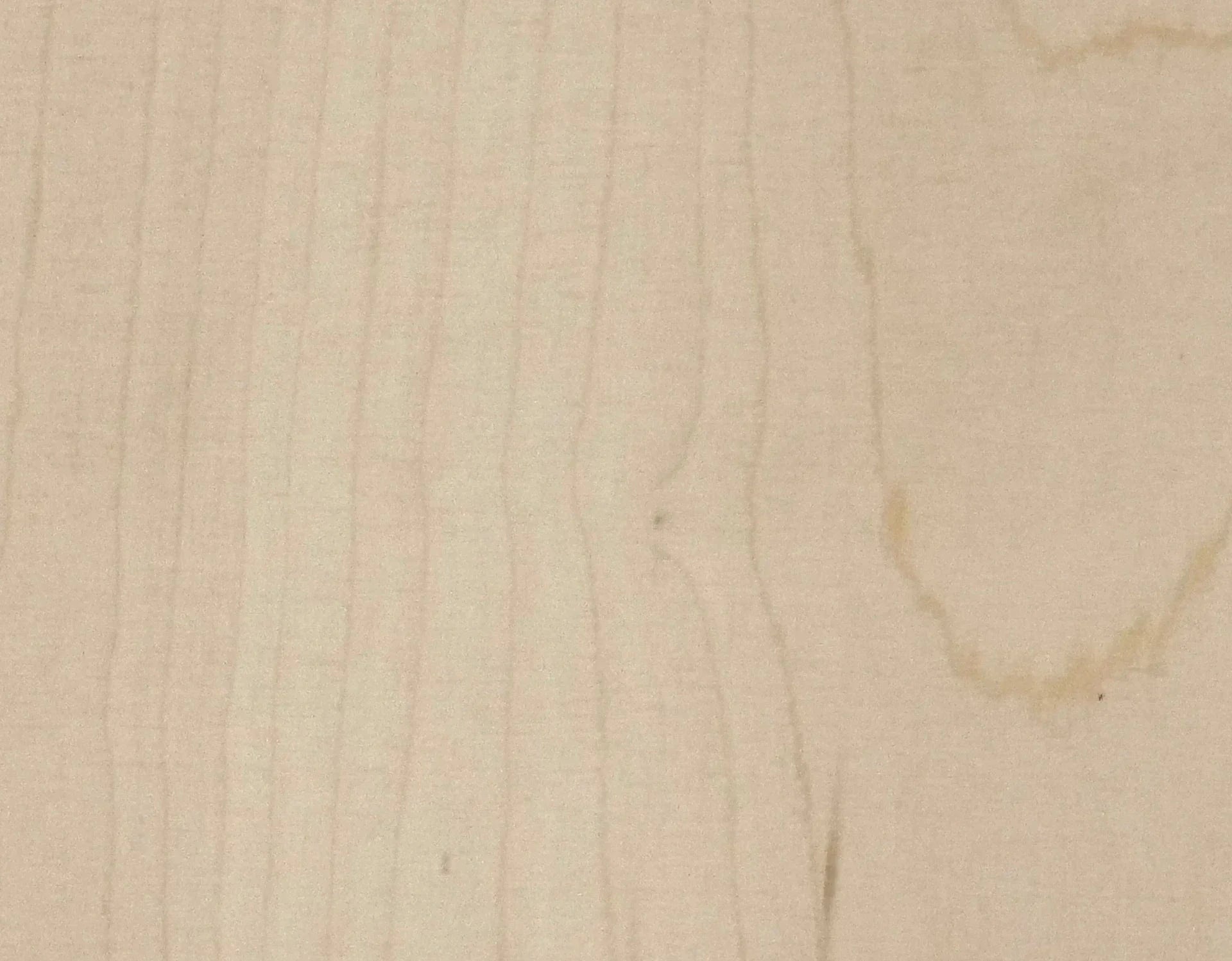 3/4" Plywood (18mm)
