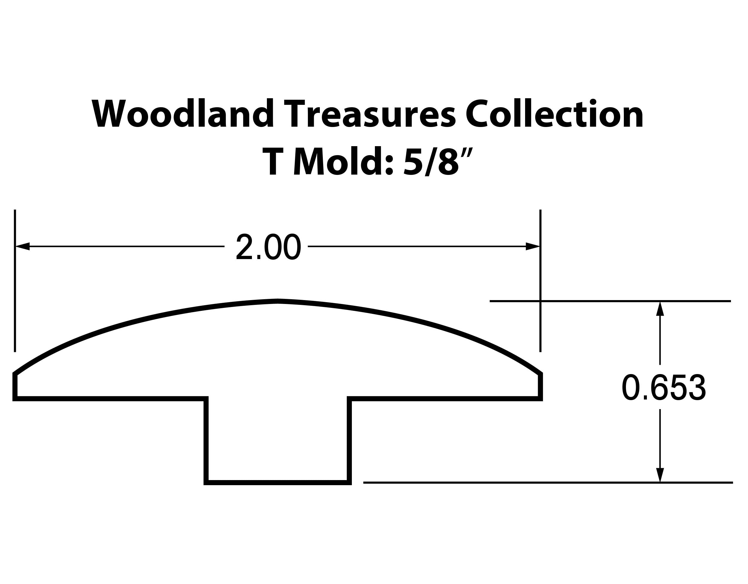 5/8" T-Mold: Woodland Treasures Denali White Oak