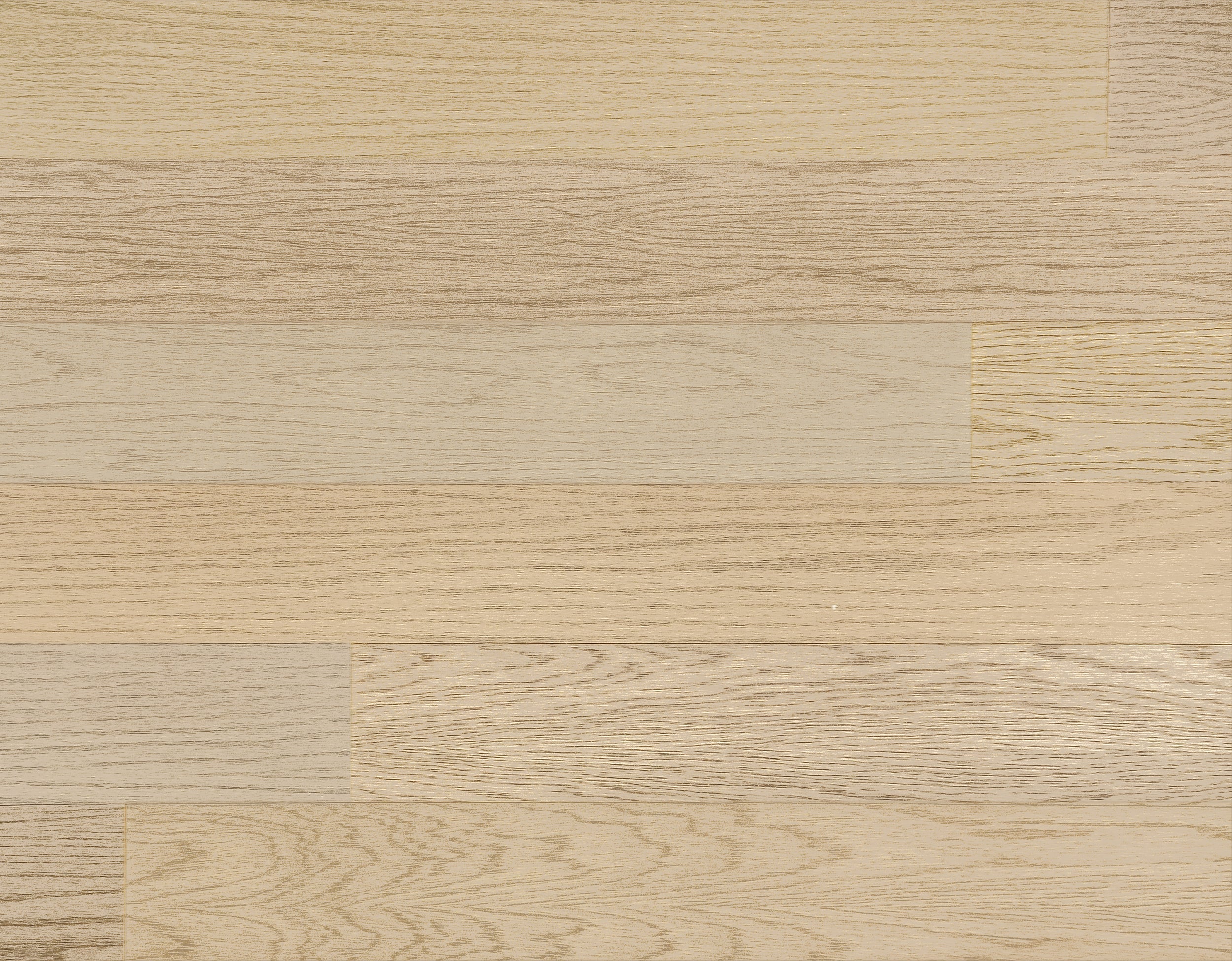 Anchor Click & Lock - 12" Samples (6) Colors