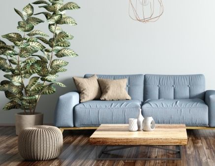 Tips for How To Identify Your Hardwood Floor