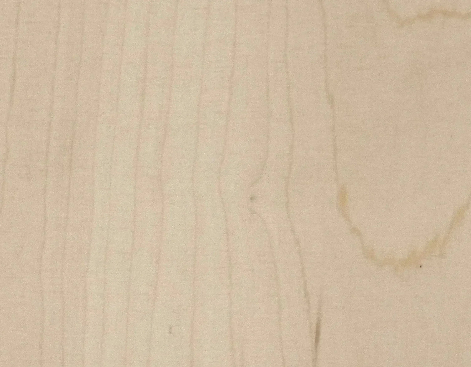 The Importance of Samples: How to Choose the Perfect Hardwood Color and Texture