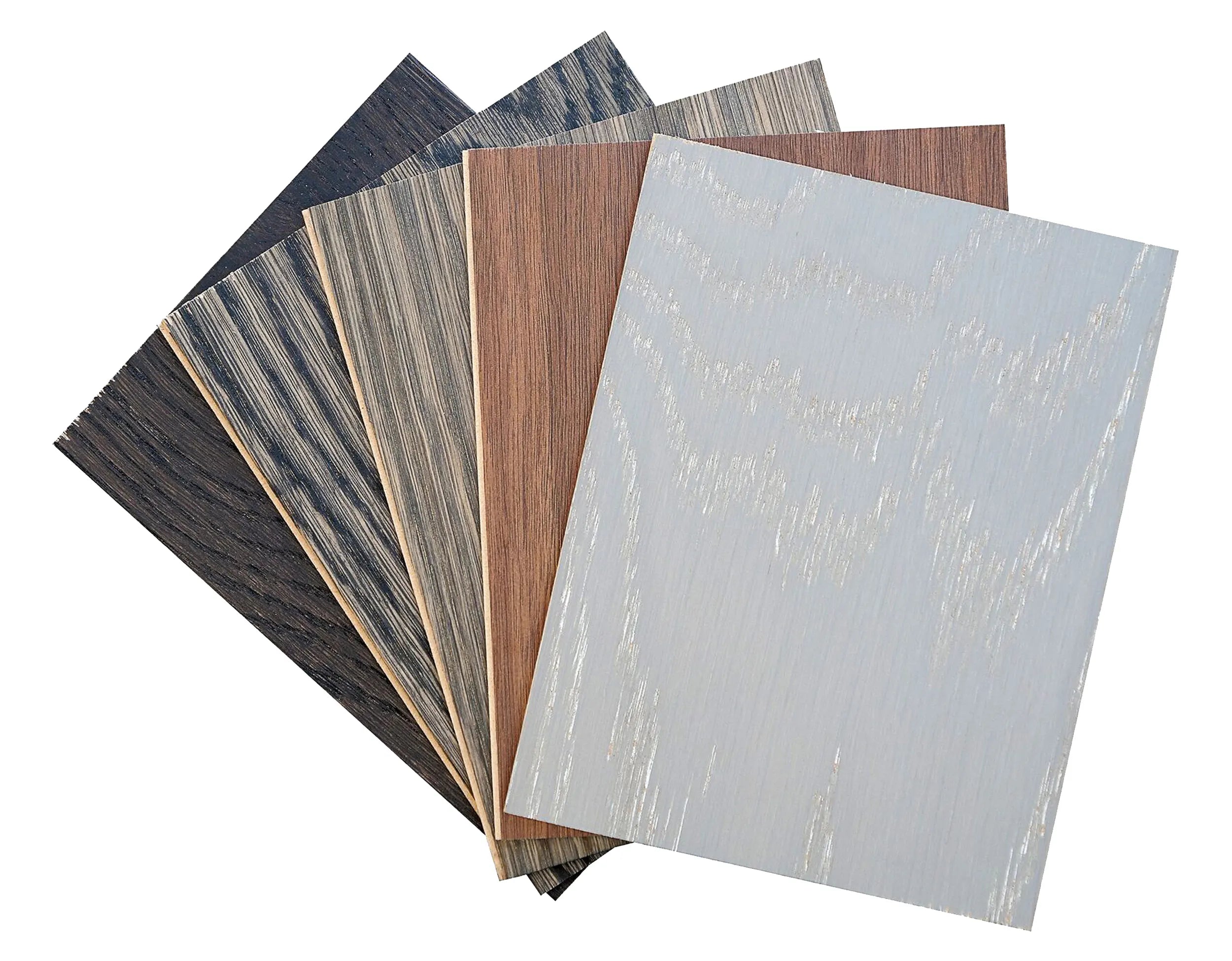 Chipe Sample Sample Chip – From The Forest, LLC