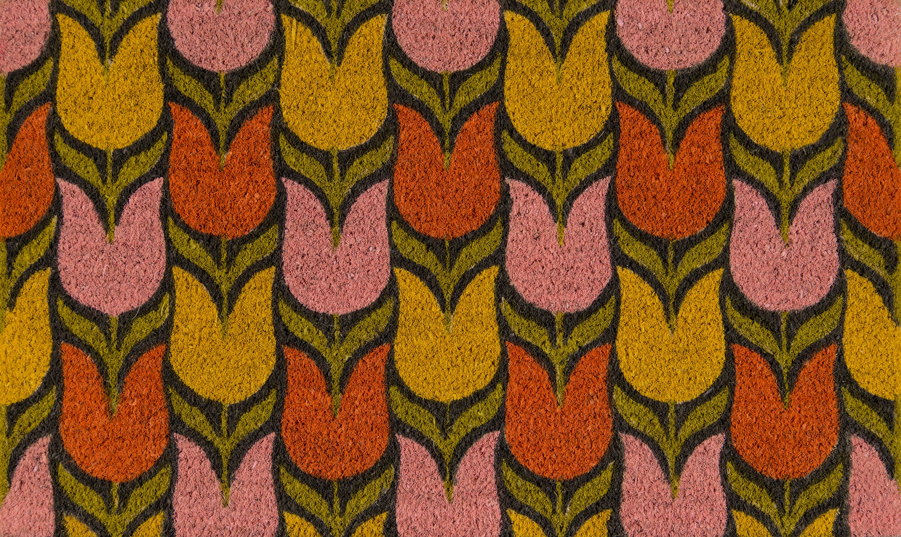 ALO18 Tulips