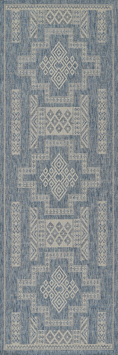 HAM10 Blue