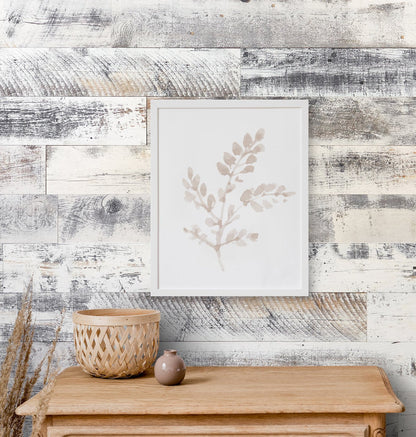 Farmhouse White