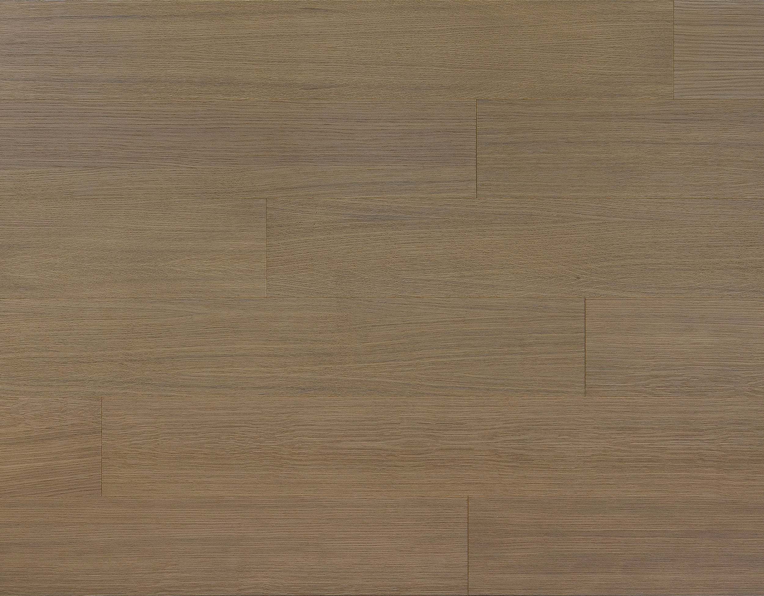 Clay White Oak