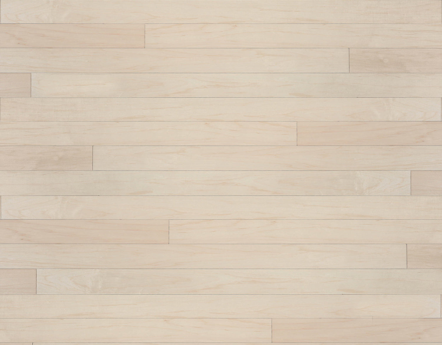 Originals Hardwood Wall Panels : 12&quot; Sample (18) Colors