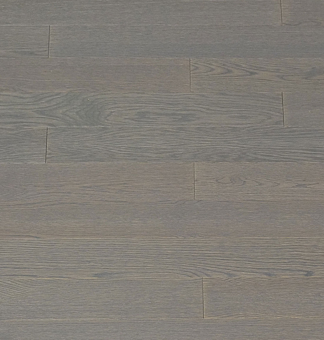 Limited Edition Collection 12&quot; Sample - Essex Grey