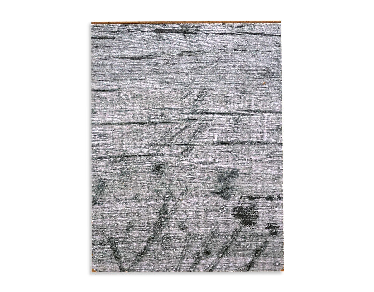 Odyssey Rustic Print Peel &amp; Stick Wall Panels : 6&quot; Sample (8) Colors